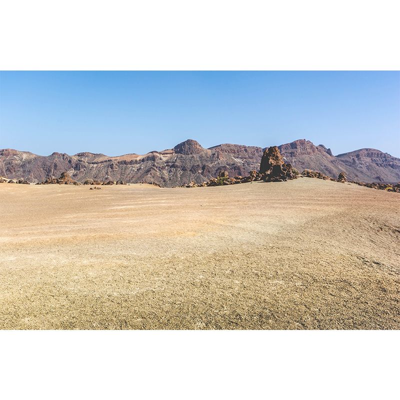 Desert Mural Wallpaper Horizontal Photography Style for Sitting Room Decor