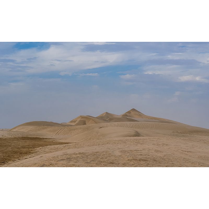 Dry Desert Wall Mural Decal for Reading Room, Personalized Size Available