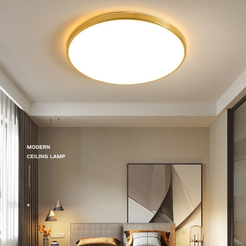 Modern Led Fixture Flush Mount Lighting Fixture Acrylic and Metal Lampshade for Corridor