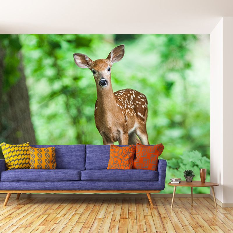 Animals Photography Mildew Resistant Wallpaper Environmental Sleeping Room Wall Mural
