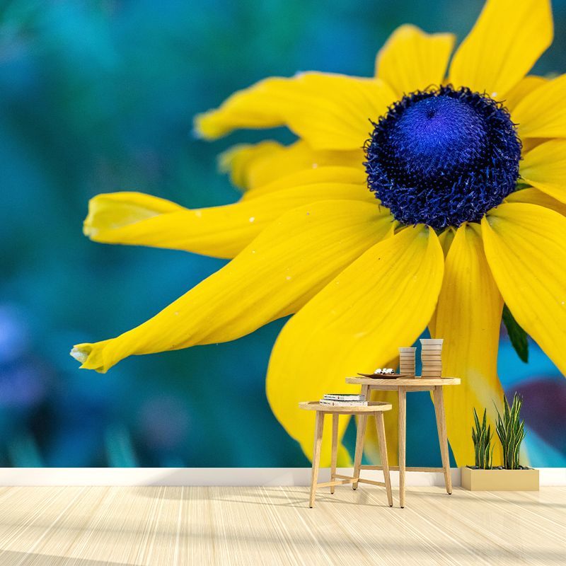 Customized Contemporary Coneflower Mural Mildew Resistant for Sitting Room Bedroom