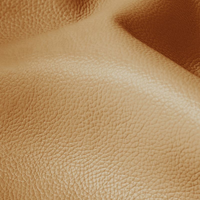 31.49" H Pillow Top Arm Sofa Brown Contemporary Standard Sofa