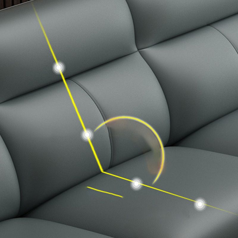 Contemporary Green Stain-Resistant Genuine Leather for Living Room Sofa