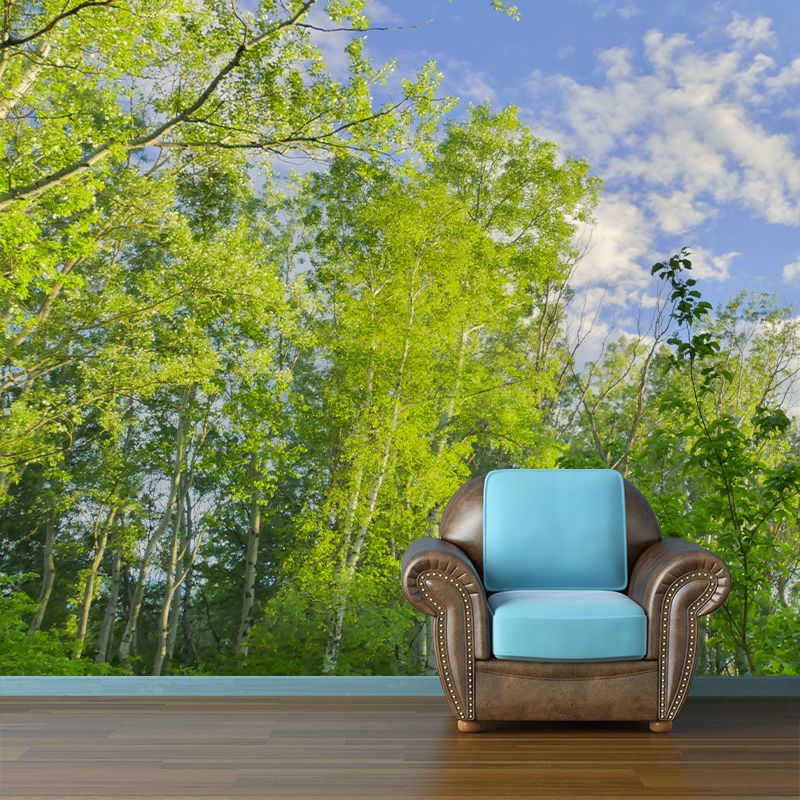 Forest Tree Contemporary Mural Decal Sitting Room Water Resistant Wall Decor