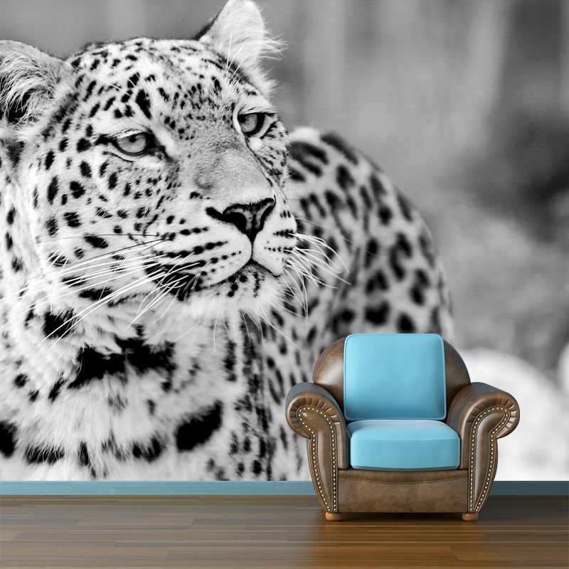 Wild Animal Leopard Mildew Resistant Wall Art Decor for Sitting Room, Made to Measure
