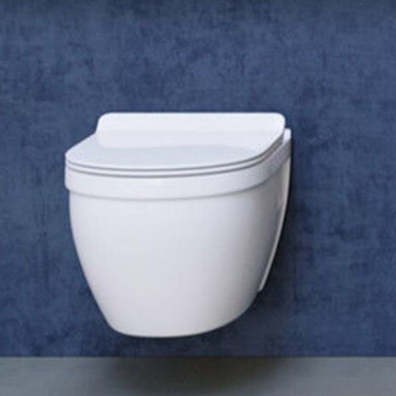 Contemporary Wall Hung Flush Toilet Ceramic Urine Toilet with Seat for Bathroom