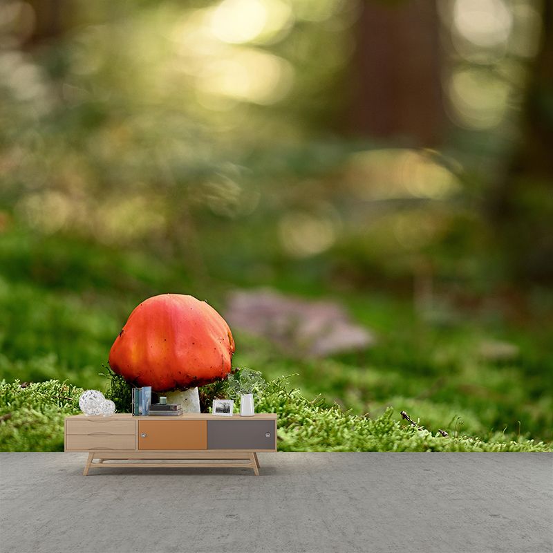 Photography Toadstool Mural Wallpaper Eco-friendly Contemporary Wall Murals