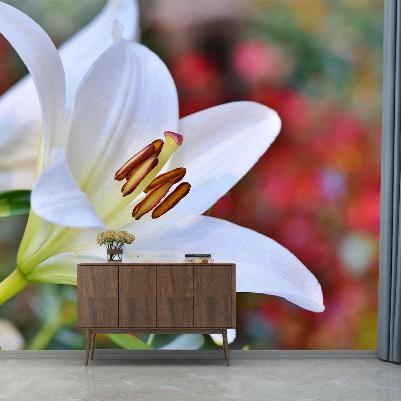 Lily Mural Wall Covering for Living Room Decorative Mildew Resistant Wallpaper