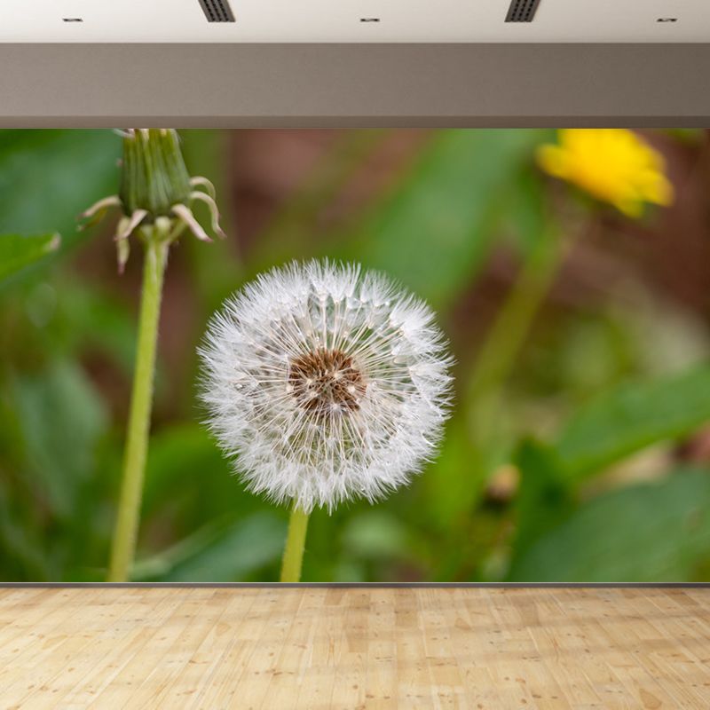 Minimalism White Dandelion Plant Murals Wallpaper Waterproof Bedroom Wall Decoration