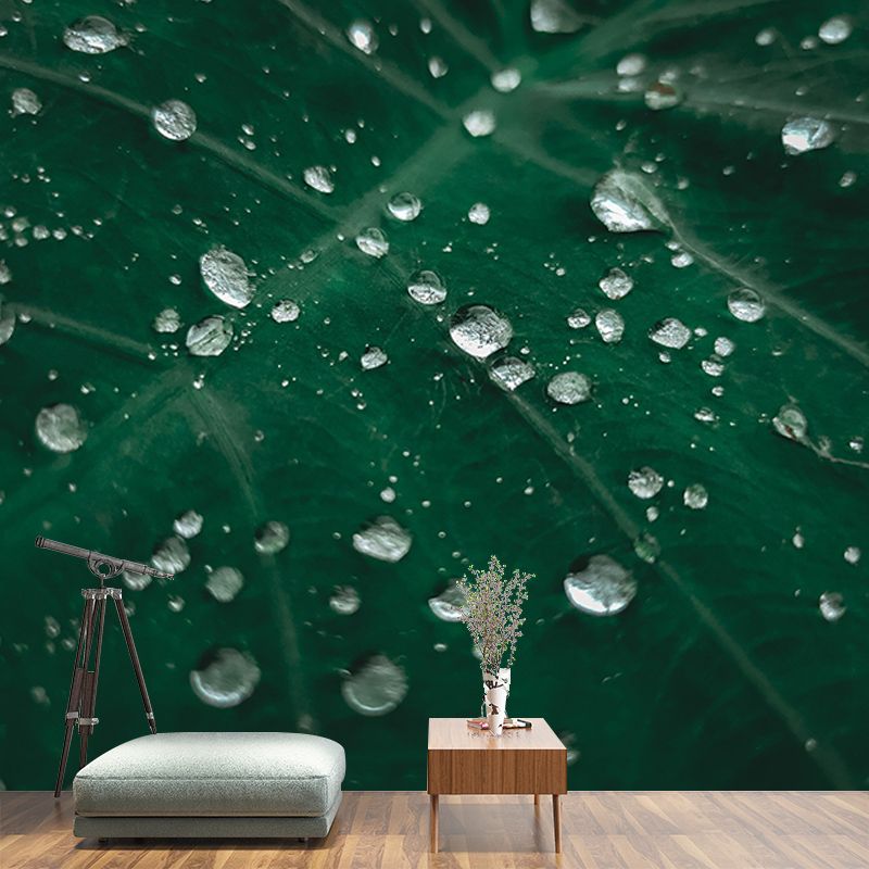 Photography Environment Friendly Mural Wallpaper Plants Bedroom Wall Mural