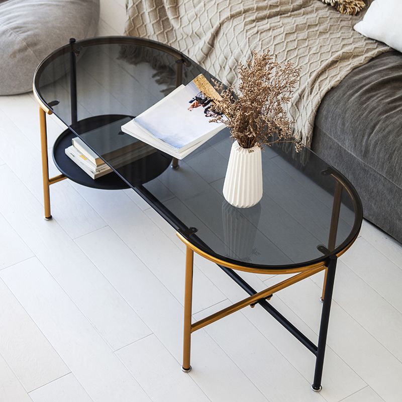Modernism Elliptical Glass Top Coffee Cocktail Table with Shelf