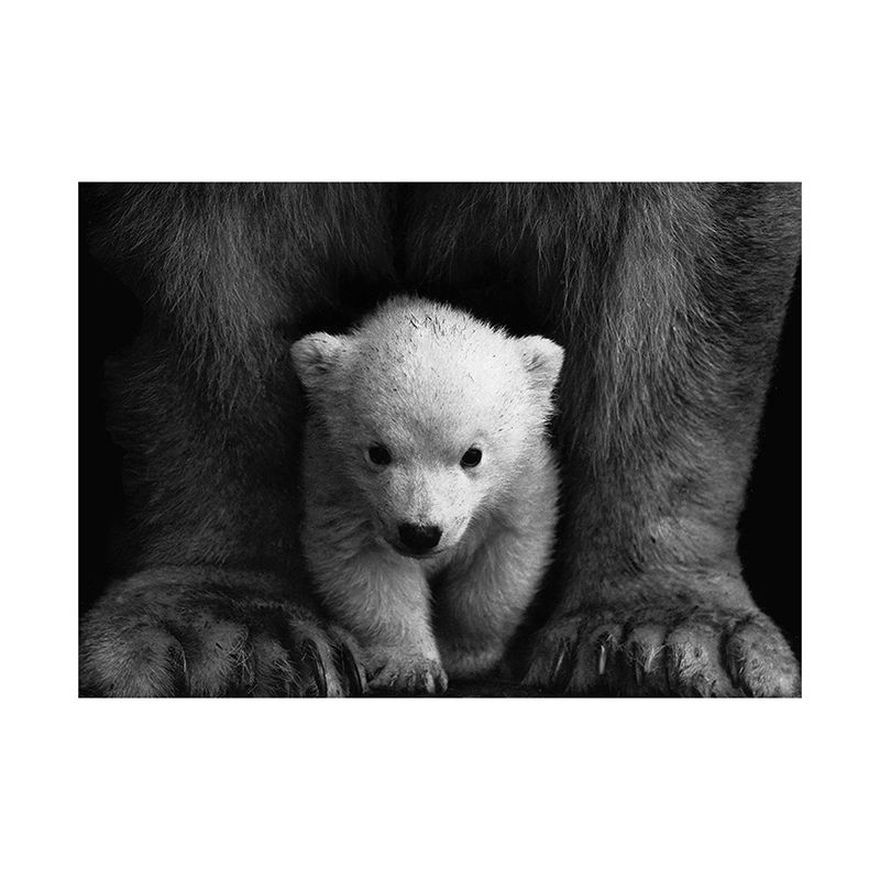 Polar Bear Baby Wall Art Contemporary Textured Canvas Print in Black-Grey for Nursery