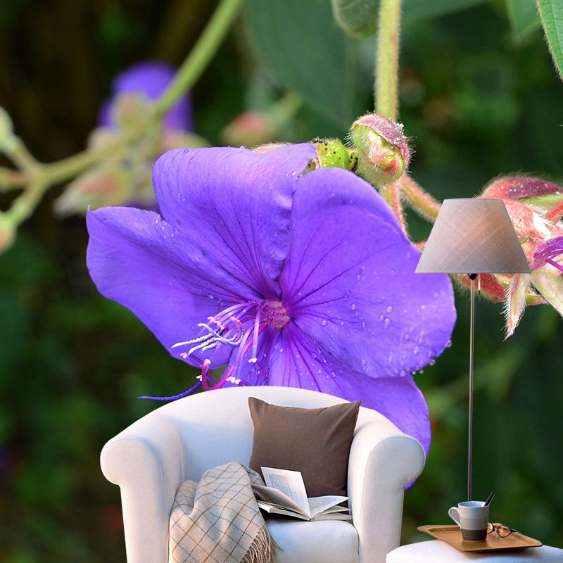 Customized Bauhinia Mural Wallpaper Waterproofing Wall Decor for Meeting Room