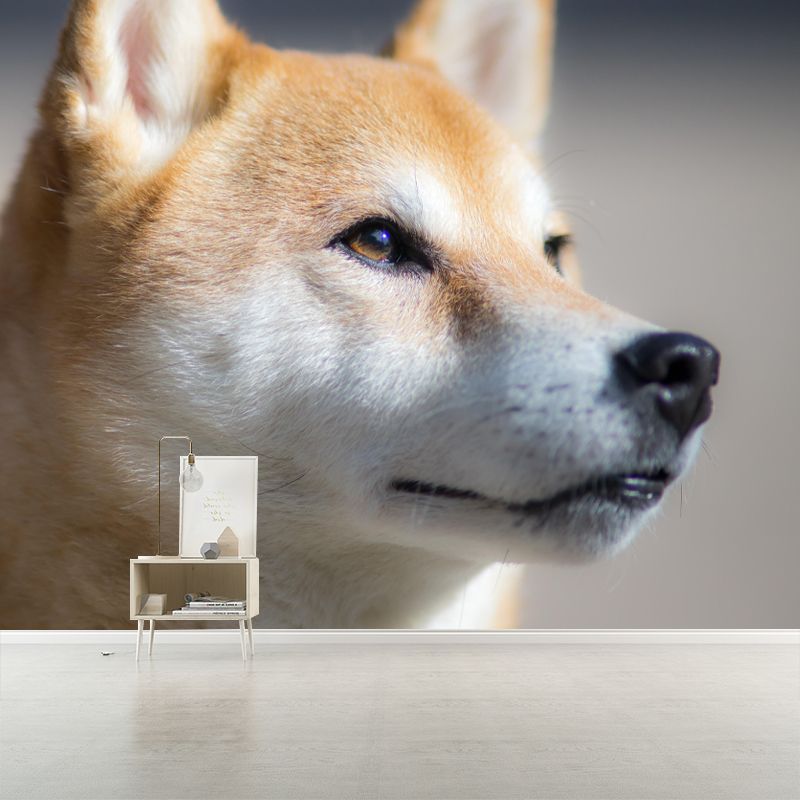 Shiba Inu Mural Environment Friendly Wallpaper Home Decoration for Bedroom