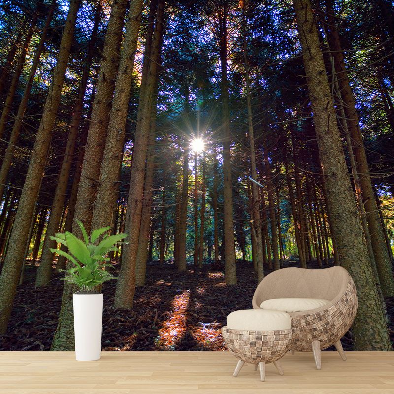 Forest Mural Decal Modern Mildew Resistant Wall Covering for Decoration