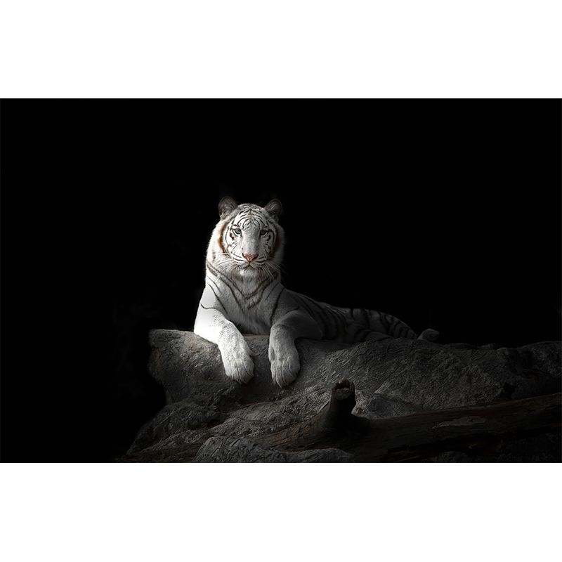 Modern Peaceable Tiger Mural Decal Black Waterproofing Wall Covering for Bathroom