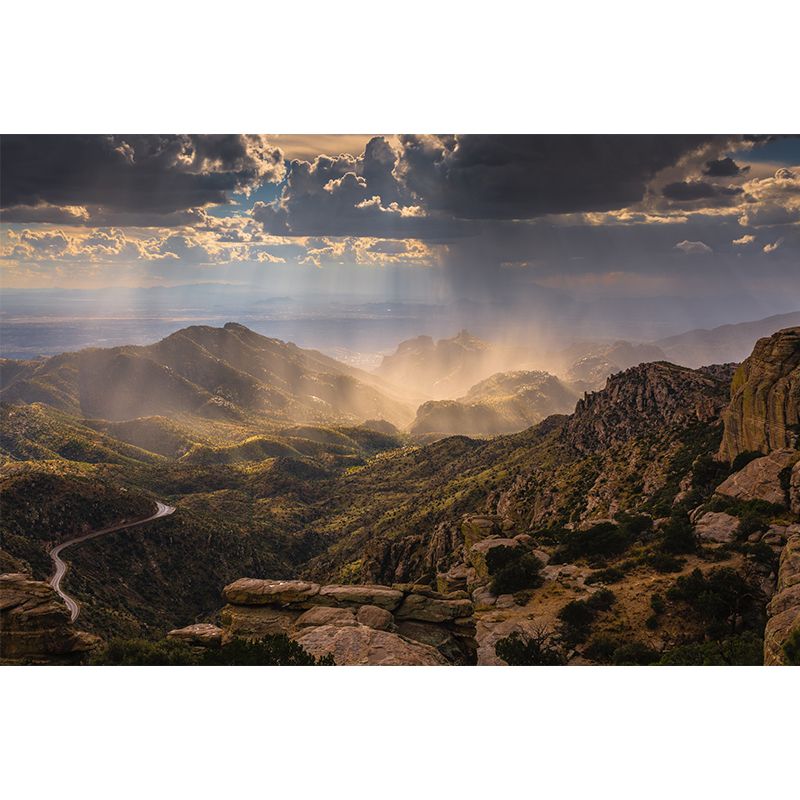 Midday Sunshine and Mountain Mural Brown Modernism Wall Art for Home, Optional Size