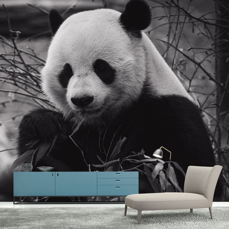 Zebra Customized Wild Animal Wall Mural Mildew Resistant Wallpaper for Room