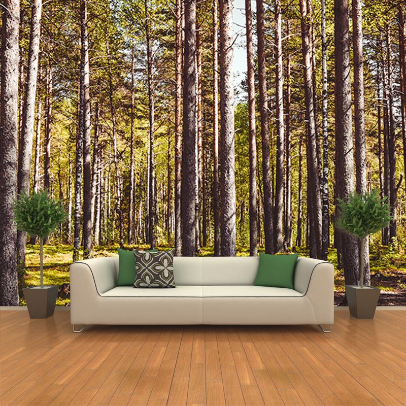 Forest Scenery Mildew Resistant Wallpaper Environmental Sleeping Room Wall Mural
