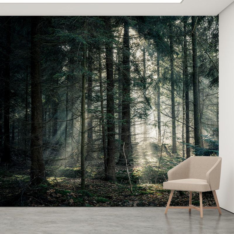 Decorative Mildew Resistant Photography Wallpaper Forest Mural Wallpaper