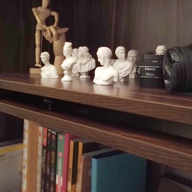 Engineered Wood Standard Bookcase Contemporary Bookcase With Doors