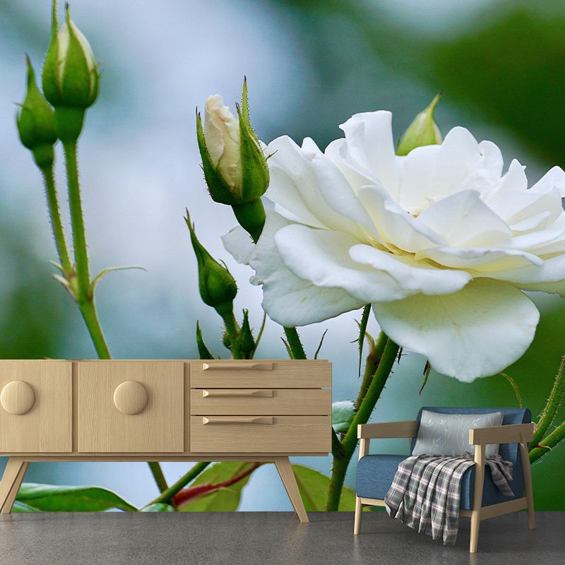 Beautiful Rose Mural Wallpaper Mildew Resistant for Living Room Bedroom Decor