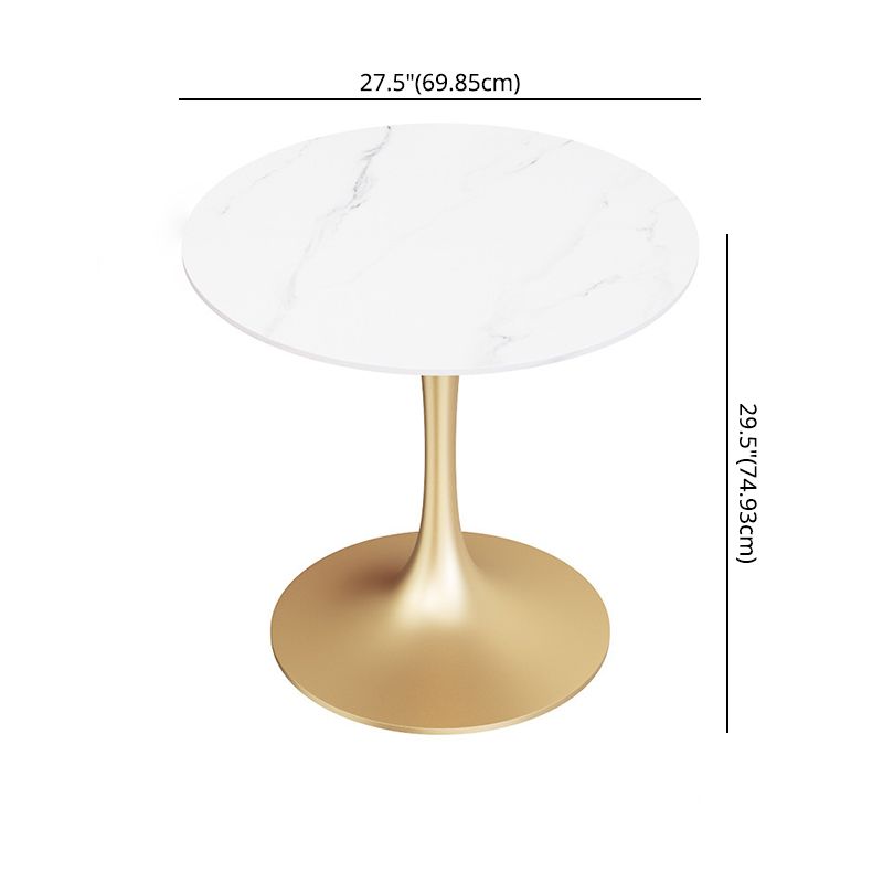 Glam Style Sintered Stone Dining Room Set Standard Height with Gold Base Dining Set