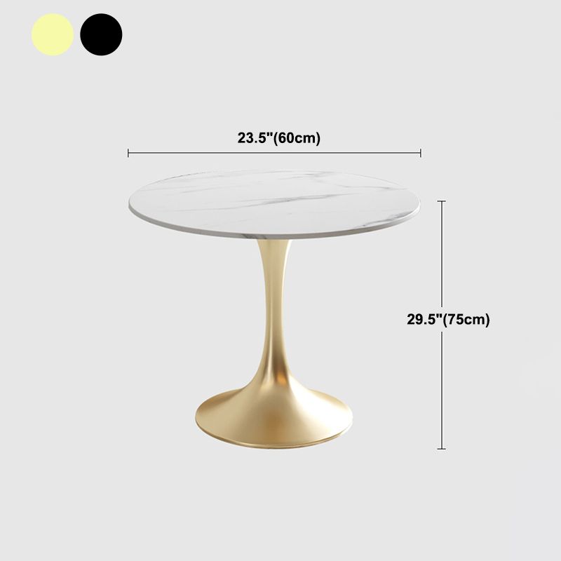 Modern Style Dining Table Tulip Sintered Stone Table for Dining Room