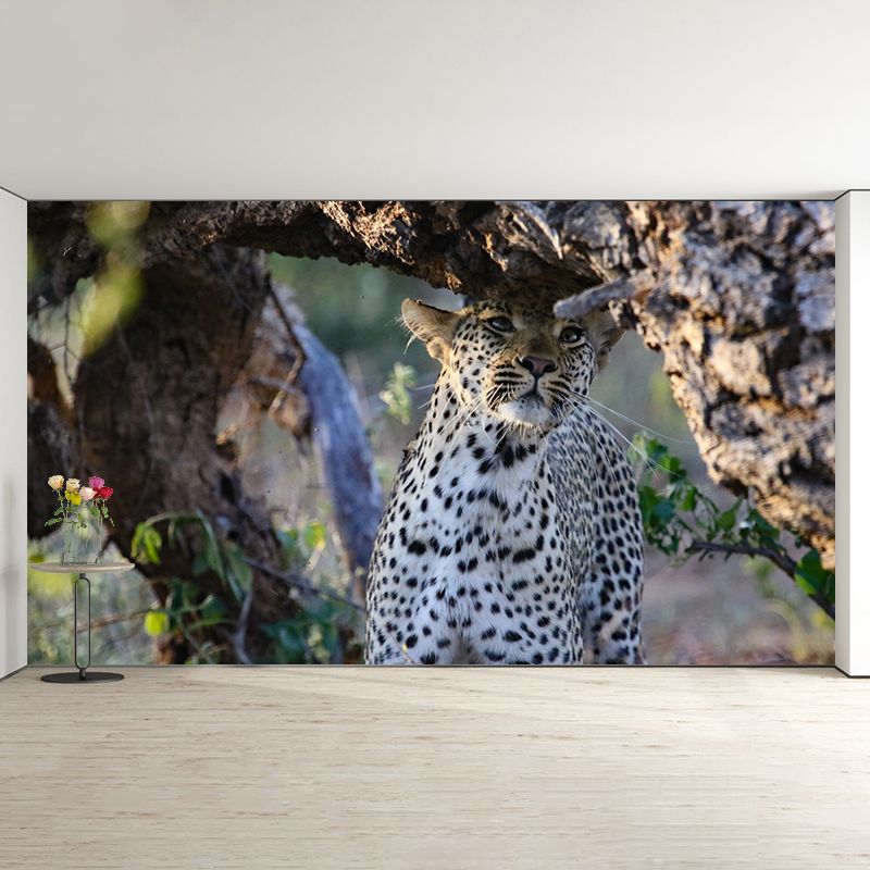 Creative Leopard Animal Wallpaper Mural Full Size Bedroom Decor Design
