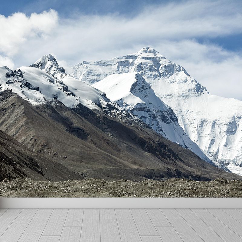 Mount Everest Mural Contemporary Mildew Resistant Family Room Wall Covering