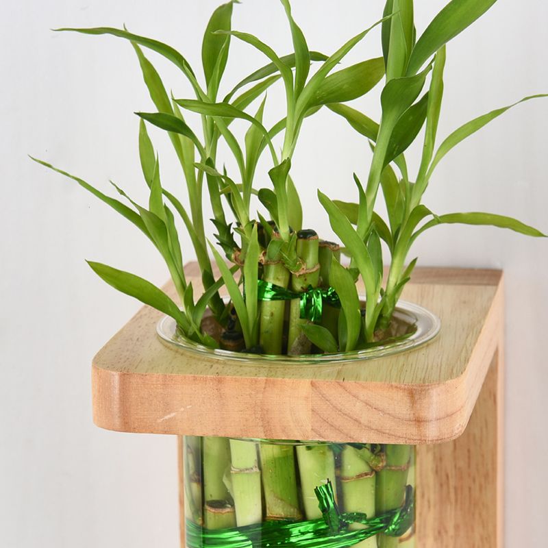 1-Light Wall Lamp Modern Wooden Shade Wall Lighting Fixtures without Plants