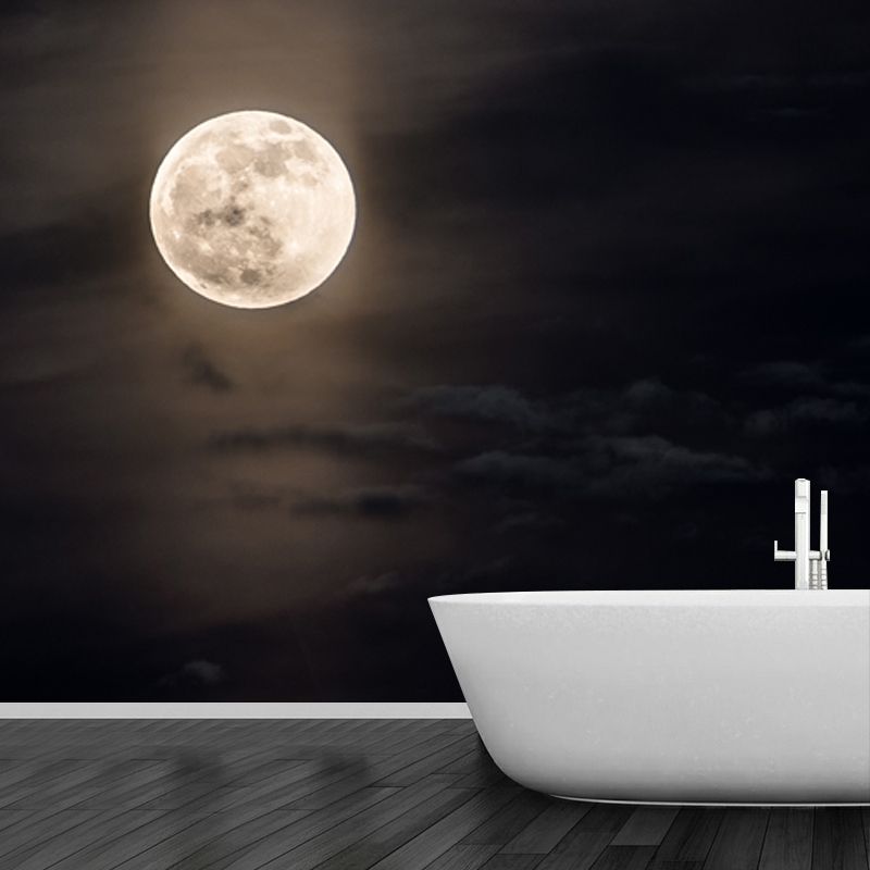 Modern Pastel Moonshine Mural for Bedroom Customized Wall Decor in Black and White