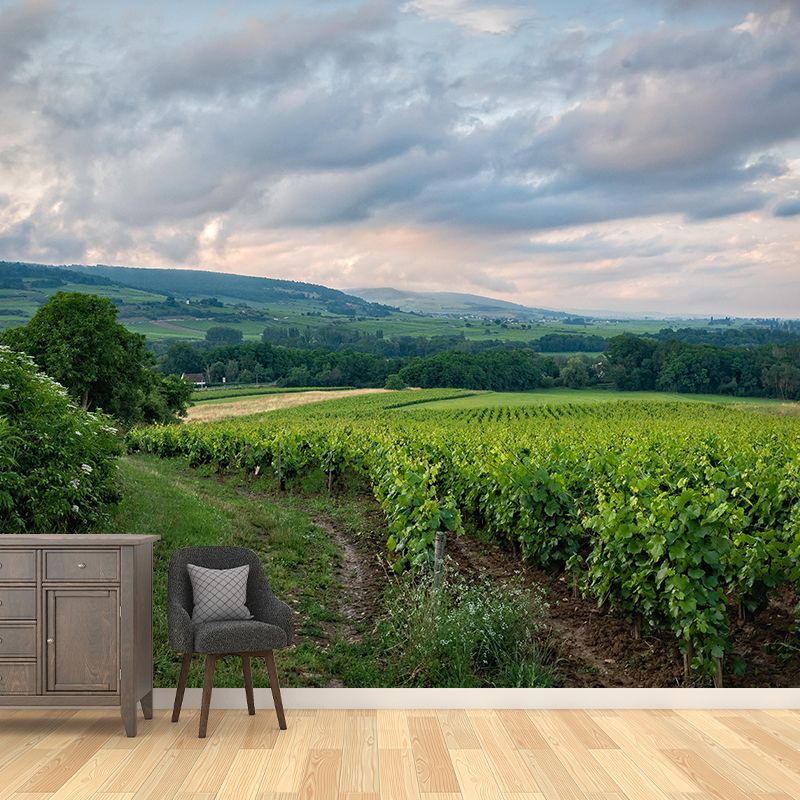 Customized Modern Grapevine Mural Wallpaper Green Plants Mildew Resistant