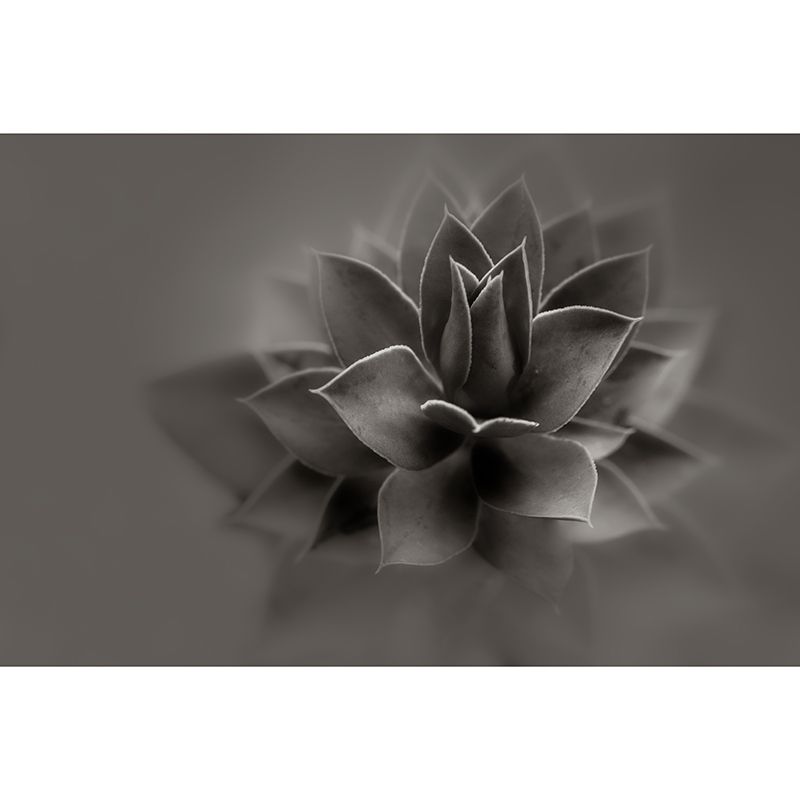 Full of Vitality Plant Wall Covering for Living Room Home Decor, Moisture-Resistant