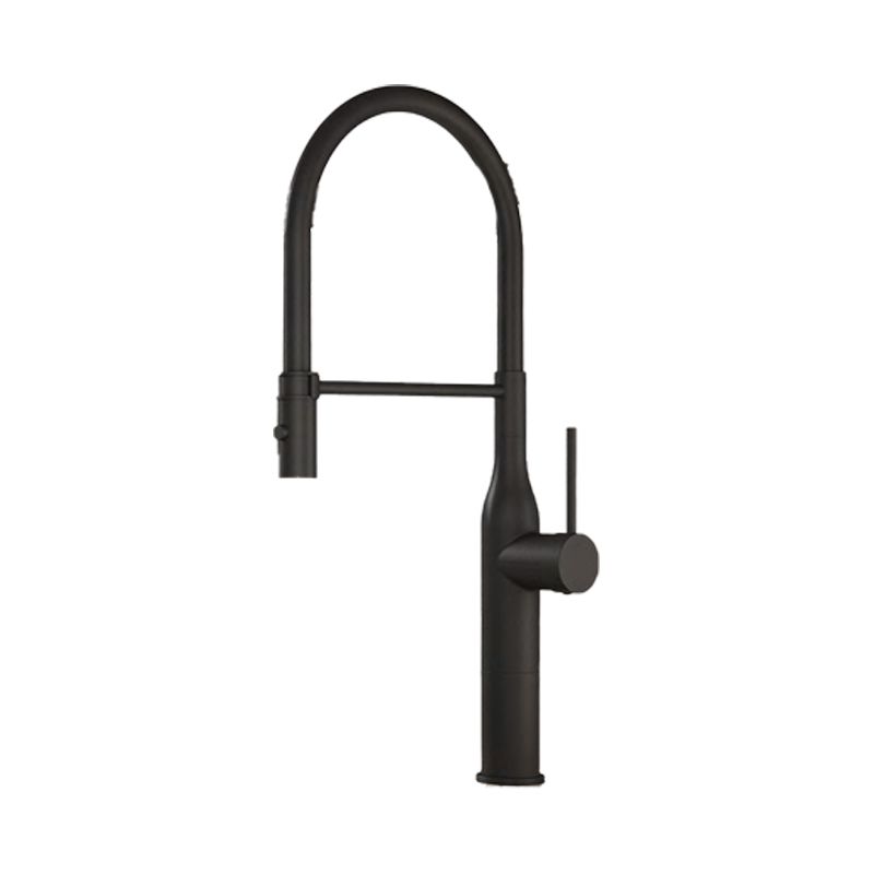 Traditional Single Level Kitchen Faucet Lead Free Metal Faucet