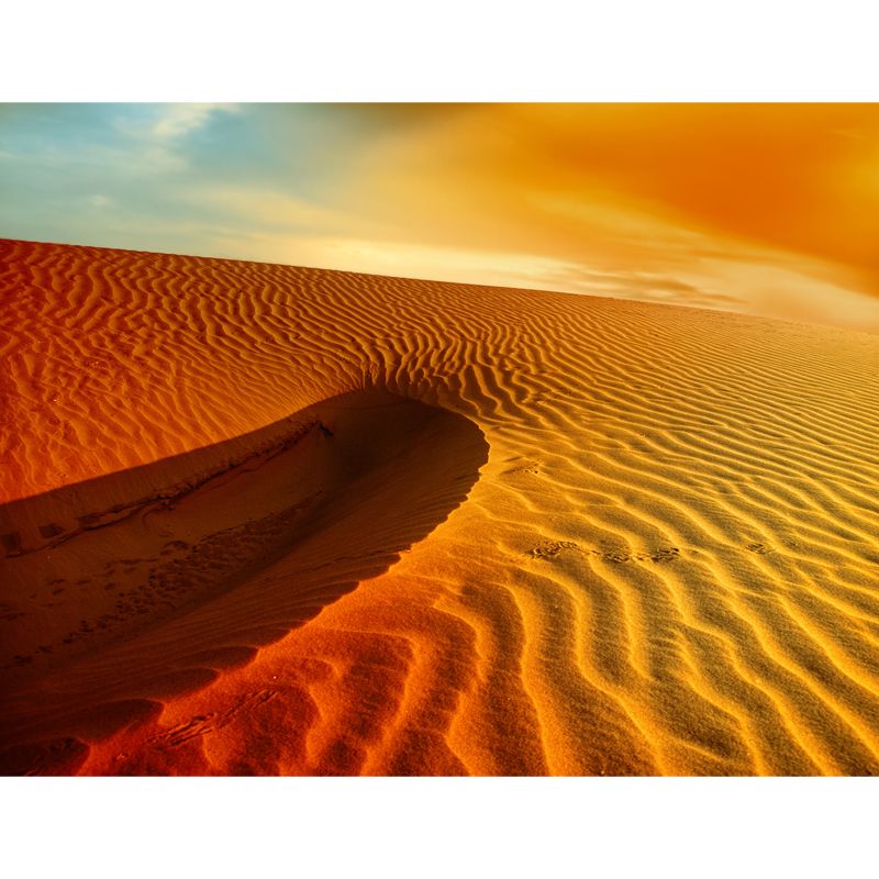 Desert with Evening Glow Mural Decal Modern Smooth Wall Covering in Yellow for Home