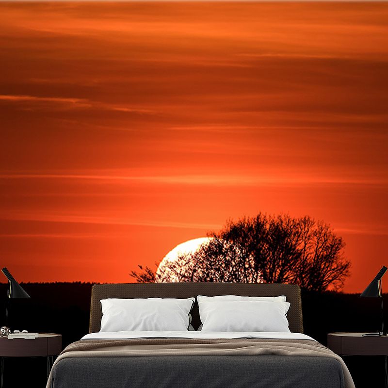 Beautiful Scenery Mural Sky Pattern Mildew Resistant for Dining Room Wall Decor