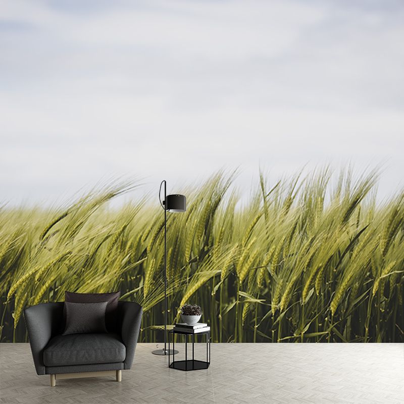 Beautiful Photography Mural Wallpaper Wheat Field Indoor Wall Mural