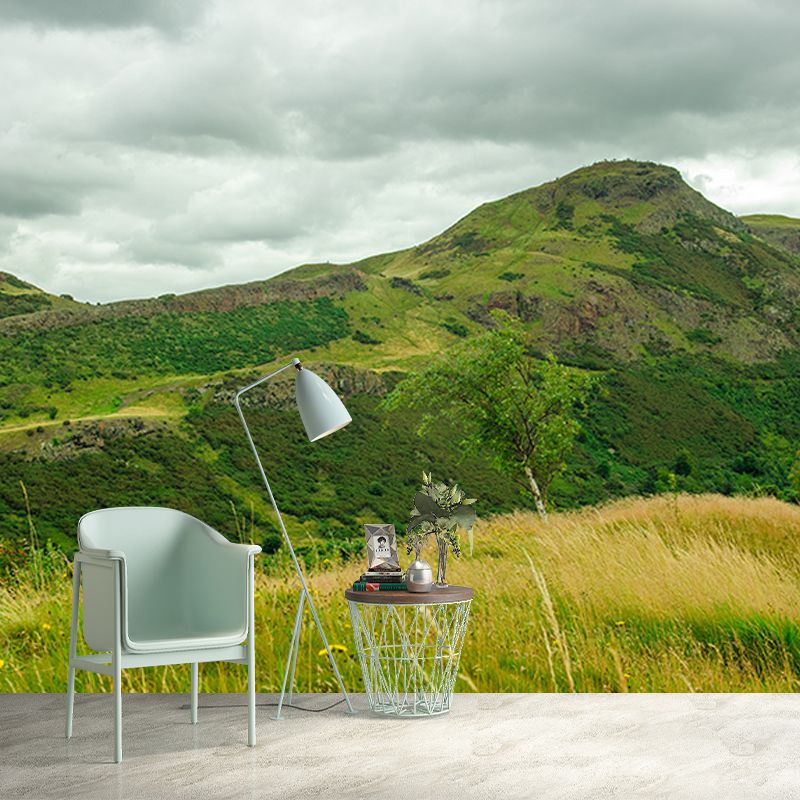 Mountain Landscape Mural Wallpaper Water Resistant Wall Covering for House Interior