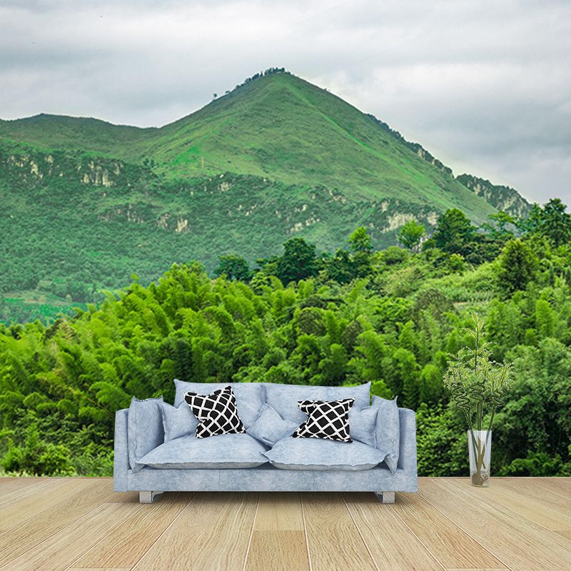 Mountain Scene Contemporary Mural Horizontal Photography Room Wall Mural