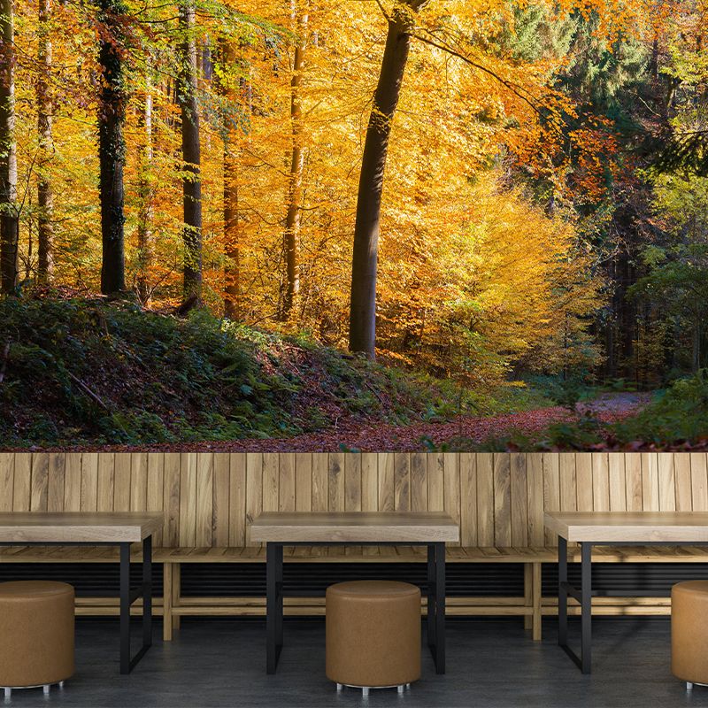 Papier peint mural forêt de couleurs douces, décoration murale moderniste écologique pour chambre à coucher