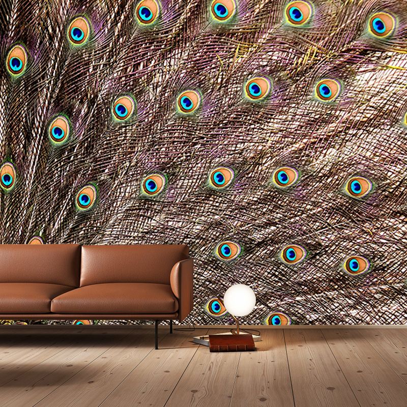 Photography Wall Mural Peacock Feather Patterned Drawing Room Wall Mural