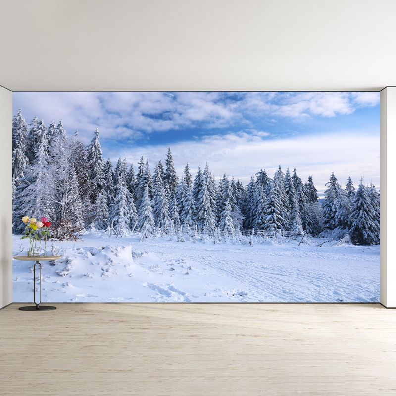 Forest Wall Mural Wallpaper Decorative Mildew Resistant Home Decor