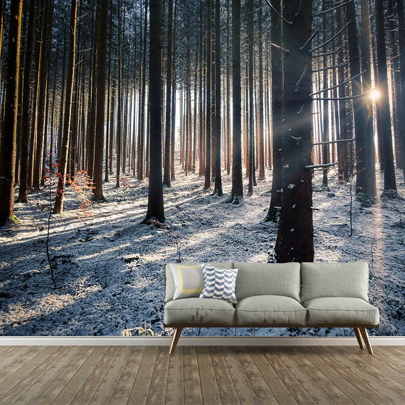 Vivid Photography Style Forest Mural Wallpaper Mildew Resistant for Living Room