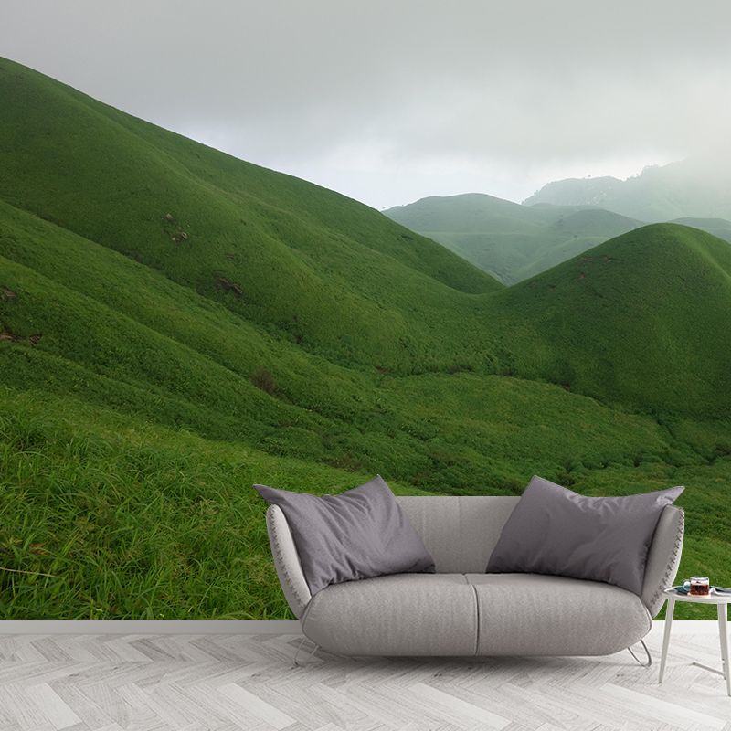 Mountain View Wall Mural Wallpaper Modern Style Mildew Resistant for Dining Room