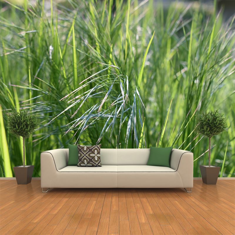 Grass Mural Modern Murals Wallpaper for Living Room Moisture Resistant, Custom Size Available