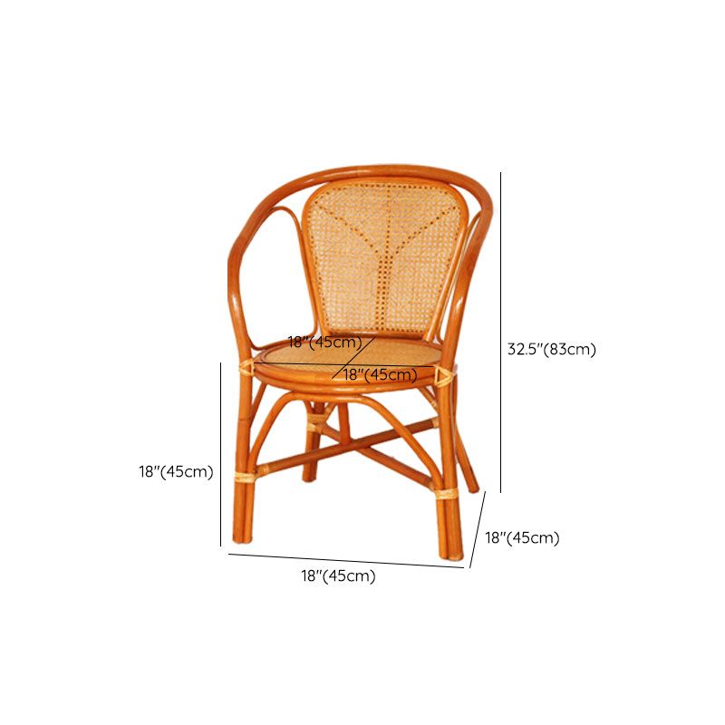 Traditional Kitchen Dining Chairs Cane Back Arm Chairs for Dining Room