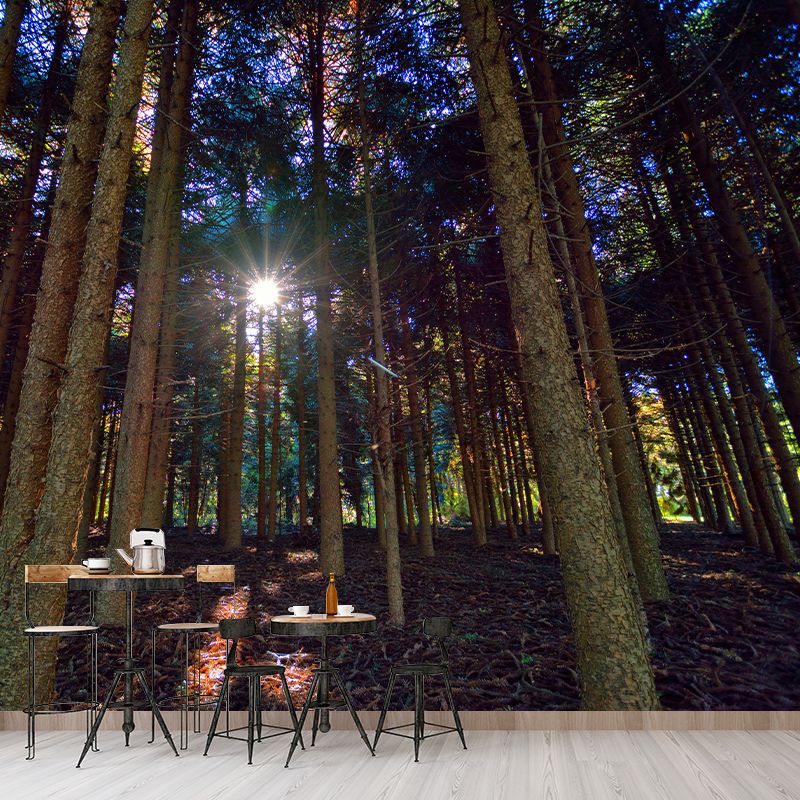 Forest Mural Decal Modern Mildew Resistant Wall Covering for Decoration
