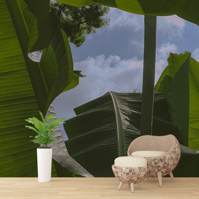Tropical Plants Mural Wallpaper for Reading Room Modern Wall Covering for Home