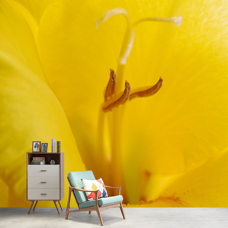 Gladiolus Wall Mural Decorative Mildew Resistant Home Decoration for Bedroom